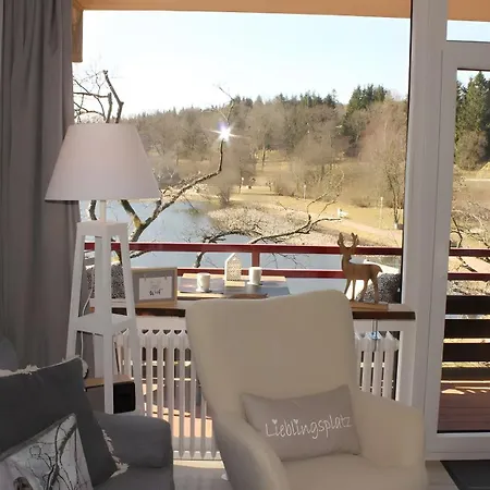 Seeblick Hahnenklee 公寓 戈斯拉尔